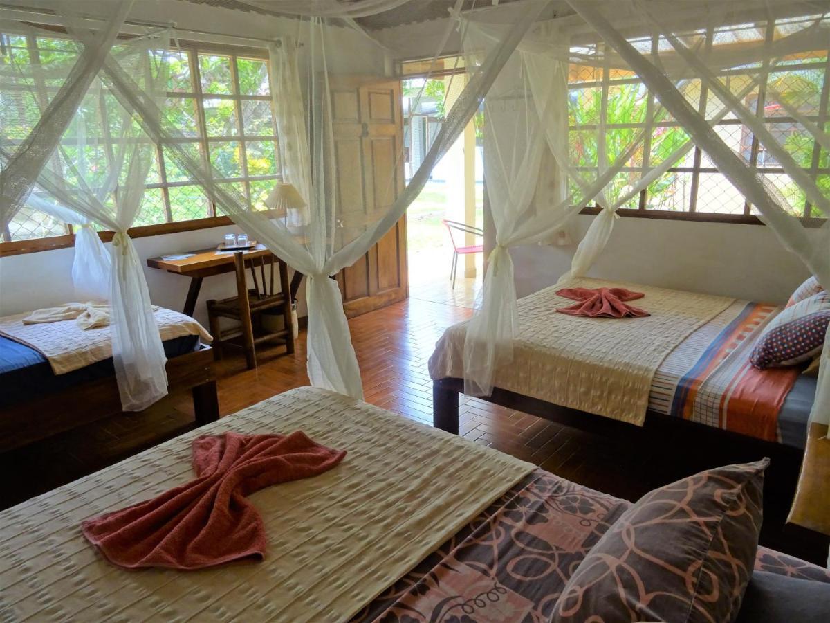 Hotel Pura Vida *